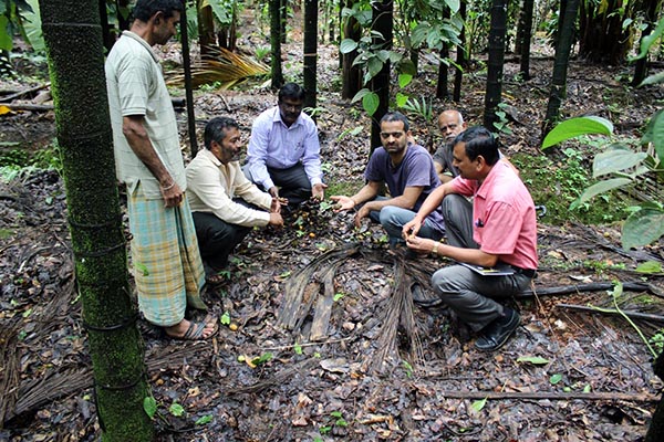 ಬೆಳೆಗಾರರು ತೋಟ ನಿರ್ವಹಣೆಗೆ ಹೆಚ್ಚು ಮುತುವರ್ಜಿ ವಹಿಸಬೇಕು: ಡಾ. ಎಚ್.ನಾರಾಯಣಸ್ವಾಮಿ